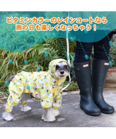 PET PARADISE 犬服 犬用品 ペットグッズ ペットウェア ペットパラダイス 犬 服 春 リサとガスパール レインコート フルカバータイプ 【小型犬】 シトロン柄 ドッグウエア ドッグウェア いぬ イヌ おしゃれ かわいい