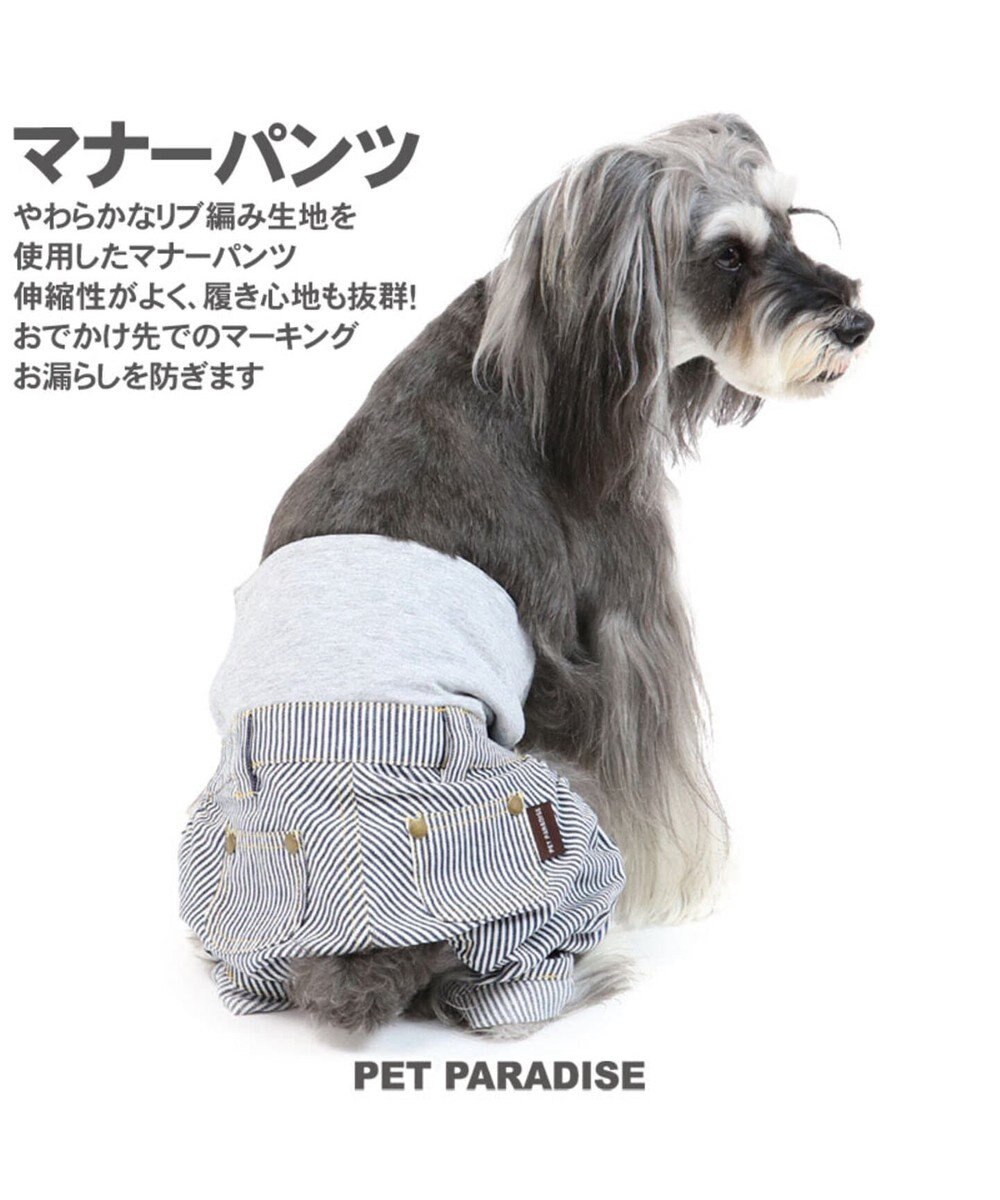 ペットパラダイス ヒッコリー マナーパンツ 超小型 小型犬 Pet Paradise 通販 雑貨とペット用品の通販サイト マザーガーデン ペットパラダイス ペットパラダイス ヒッコリー マナーパンツ 超小型 小型犬 Pet Paradise 通販 雑貨とペット用品の通販サイト マザーガーデン ペットパラダイス