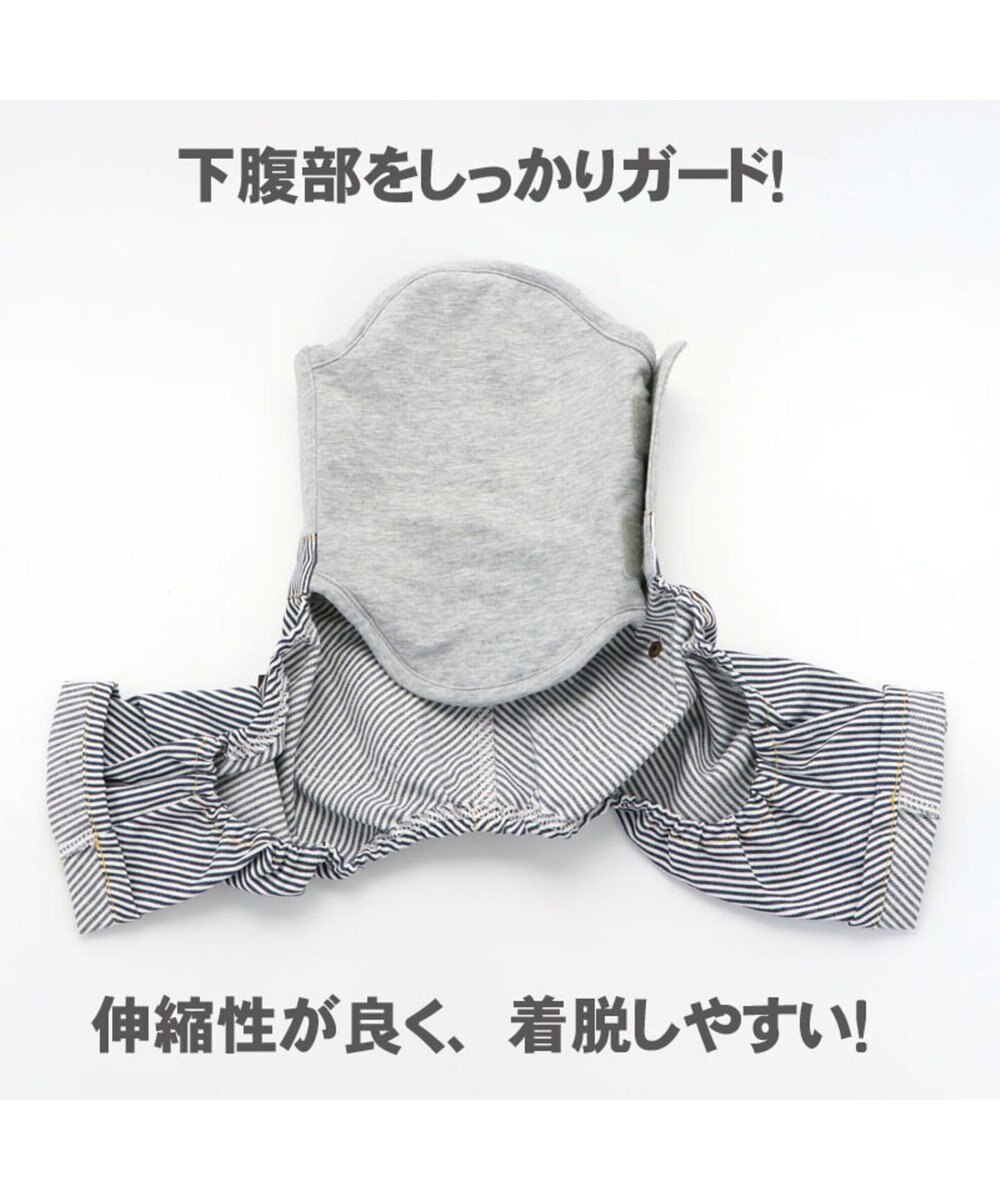 PET PARADISE ペットパラダイス ヒッコリー マナーパンツ  〔超小型・小型犬〕 