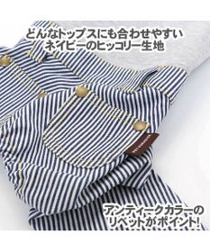 PET PARADISE ペットパラダイス ヒッコリー マナーパンツ  〔超小型・小型犬〕