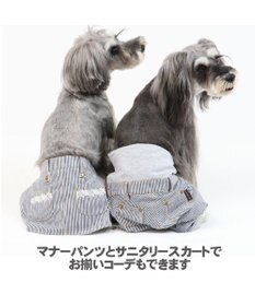 PET PARADISE ペットパラダイス ヒッコリー マナーパンツ  〔超小型・小型犬〕