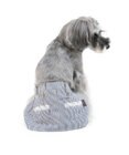 PET PARADISE ペットパラダイス ヒッコリー サニタリースカートパンツ〔小型犬〕