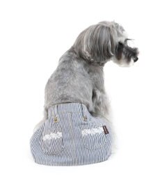 PET PARADISE ペットパラダイス ヒッコリー サニタリースカートパンツ〔小型犬〕
