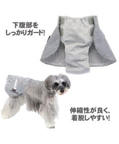 PET PARADISE ペットパラダイス ヒッコリー サニタリースカートパンツ〔小型犬〕