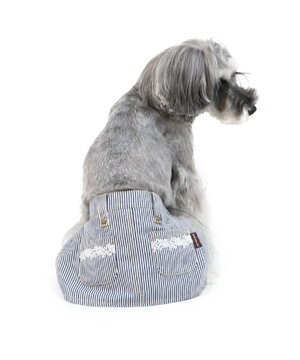  ペットパラダイス ヒッコリー サニタリースカートパンツ〔小型犬〕