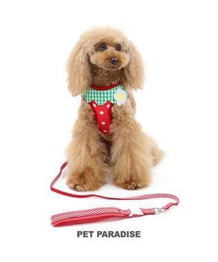 ペットパラダイス 反射 苺柄ハーネスリード 4s 超小型犬 Pet Paradise 通販 雑貨とペット用品の通販サイト マザーガーデン ペットパラダイス ペットパラダイス 反射 苺柄ハーネスリード 4s 超小型犬 Pet Paradise 通販 雑貨とペット用品の通販サイト マザーガーデン ペットパラダイス