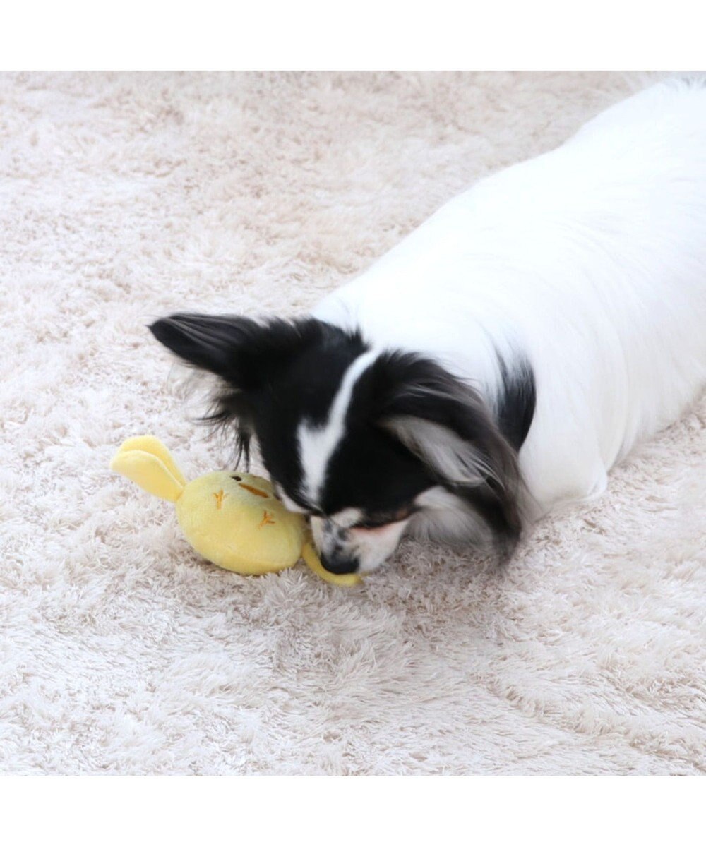 PET PARADISE ペットパラダイス キャンディ トイ 愛犬用 おもちゃ ひよこ 