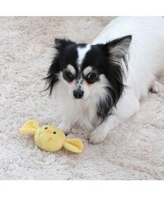 PET PARADISE ペットパラダイス キャンディ トイ 愛犬用 おもちゃ ひよこ