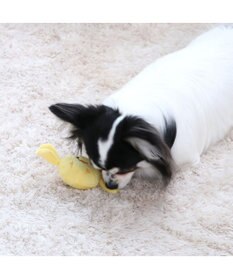 PET PARADISE ペットパラダイス キャンディ トイ 愛犬用 おもちゃ ひよこ