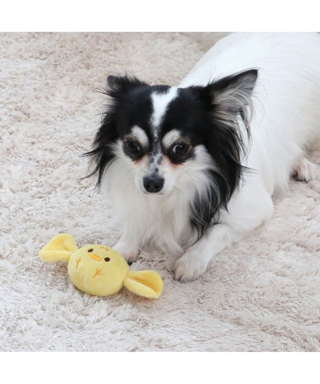 PET PARADISE ペットパラダイス キャンディ トイ 愛犬用 おもちゃ ひよこ 黄