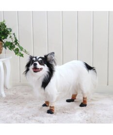 PET PARADISE ペットパラダイス くま フィットシューズ ペットS〔超・小型犬〕