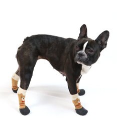 PET PARADISE ペットパラダイス くま フィットシューズ ペットSM〔中型犬〕