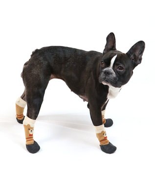 PET PARADISE ペットパラダイス くま フィットシューズ ペットSM〔中型犬〕 ベージュ