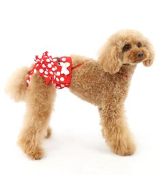 PET PARADISE ディズニー ミニーマウス サニタリーパンツ　ドット柄 ペット４S