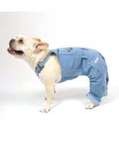 PET PARADISE 【訳あり・SALE・アウトレット・返品不可】ミニオン デニム オーバーオール 〔中型犬〕