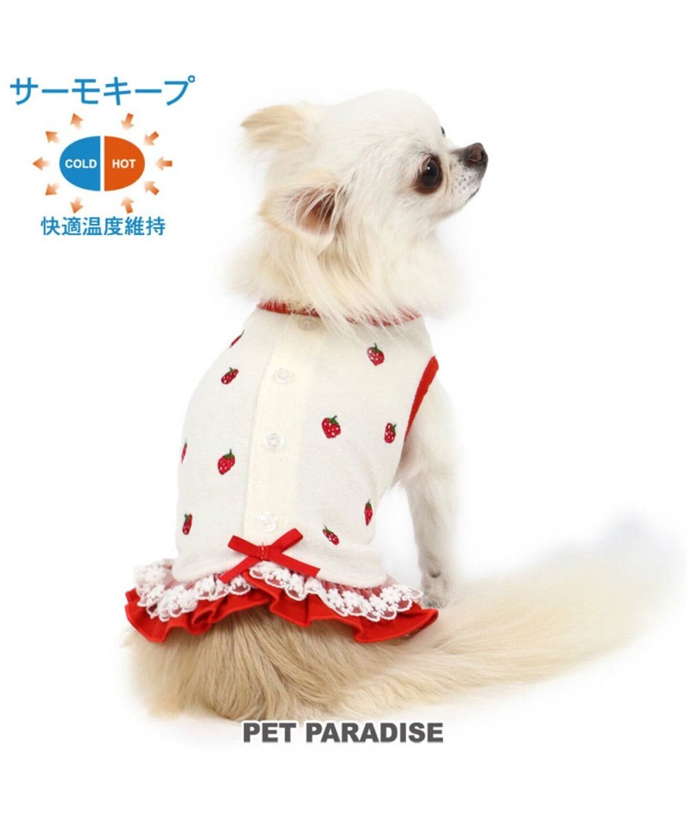 ペットパラダイス サーモキープ 苺 パイル Tシャツ 小型犬 Pet Paradise 通販 雑貨とペット用品の通販サイト マザーガーデン ペットパラダイス