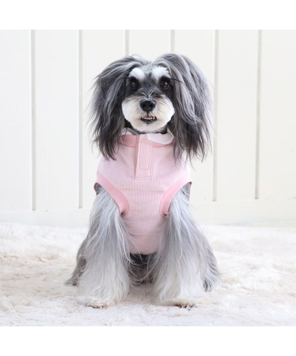 ディズニー ミニーマウス 苺 ポシェットトレーナー 超 小型犬 Pet Paradise 通販 雑貨とペット用品の通販サイト マザーガーデン ペットパラダイス
