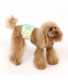 PET PARADISE ディズニー プルート＆パピー マナーベルト 〔超小型・小型犬〕