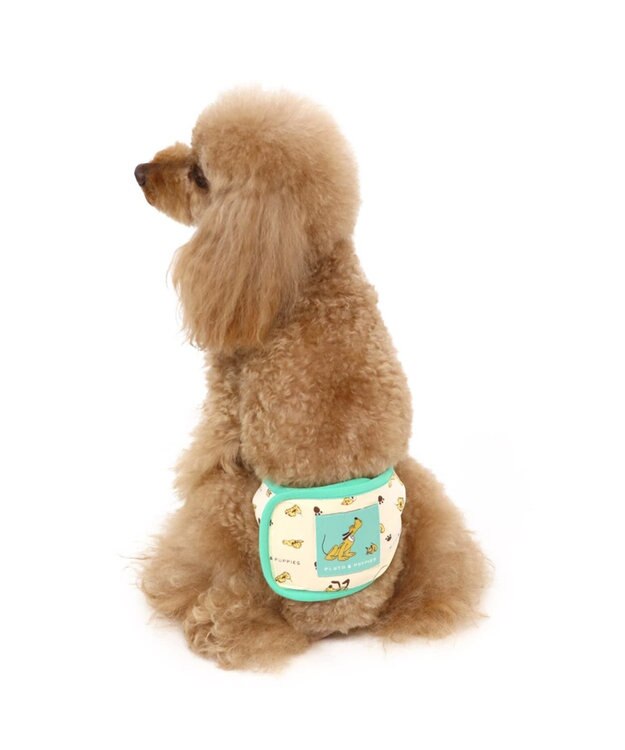 ペット✩犬✩マナーベルトオーダー用 サンプル（確認用）パピヨン 水色 ペット✩犬✩マナーベルトオーダー用 サンプル（確認用