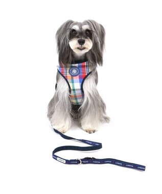 通常 予約 Pet Paradise ペットパラダイス Kids Others ハーネス リュック付きハーネス 通販 雑貨とペット用品の通販サイト マザーガーデン ペットパラダイス 通常 予約 Pet Paradise ペットパラダイス Kids Others ハーネス リュック付きハーネス 通販 雑貨とペット用品の通販サイト マザーガーデン ペットパラダイス