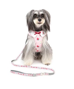 ミ二ーマウス 苺総柄 ハーネスリード ペットs 小型犬 Pet Paradise 通販 雑貨とペット用品の通販サイト マザーガーデン ペットパラダイス