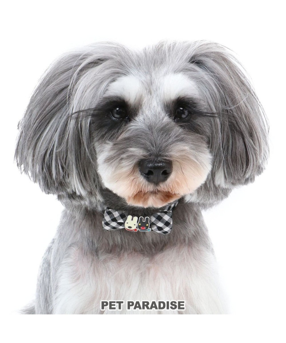 PET PARADISE リサとガスパール ギンガムチェック 首輪 ペットS 〔小型犬〕 黒