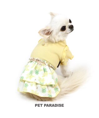 犬服 犬用品 ペットグッズ ペットウェア ペットパラダイス 犬 服 春 ワンピース リブ ドッグウエア ドッグウェア イヌ おしゃれ かわいい Pet Paradise 通販 雑貨とペット用品の通販サイト マザーガーデン ペットパラダイス