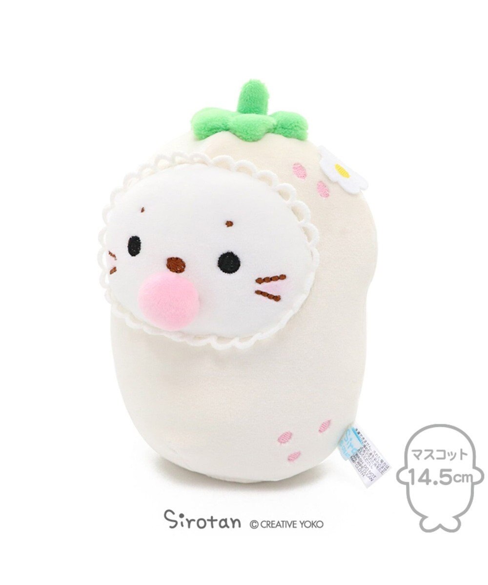 最新 べびたん ベビたん 三浦