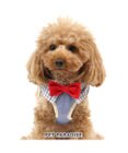 PET PARADISE ミッキーマウス アイコン柄 ベストハーネス S 〔小型犬〕