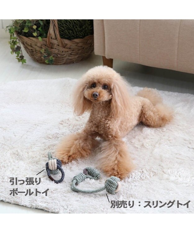 PET PARADISE ペットパラダイス 引っ張りボール トイ カーキ カーキ