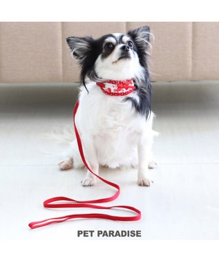 ペットパラダイス リード付き首輪 苺 4s Ss 超 小型犬 Pet Paradise 通販 雑貨とペット用品の通販サイト マザーガーデン ペットパラダイス