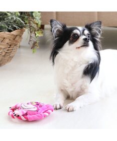 PET PARADISE ディズニー アリス チェシャ猫 トイ 愛犬用 TOY おもちゃ