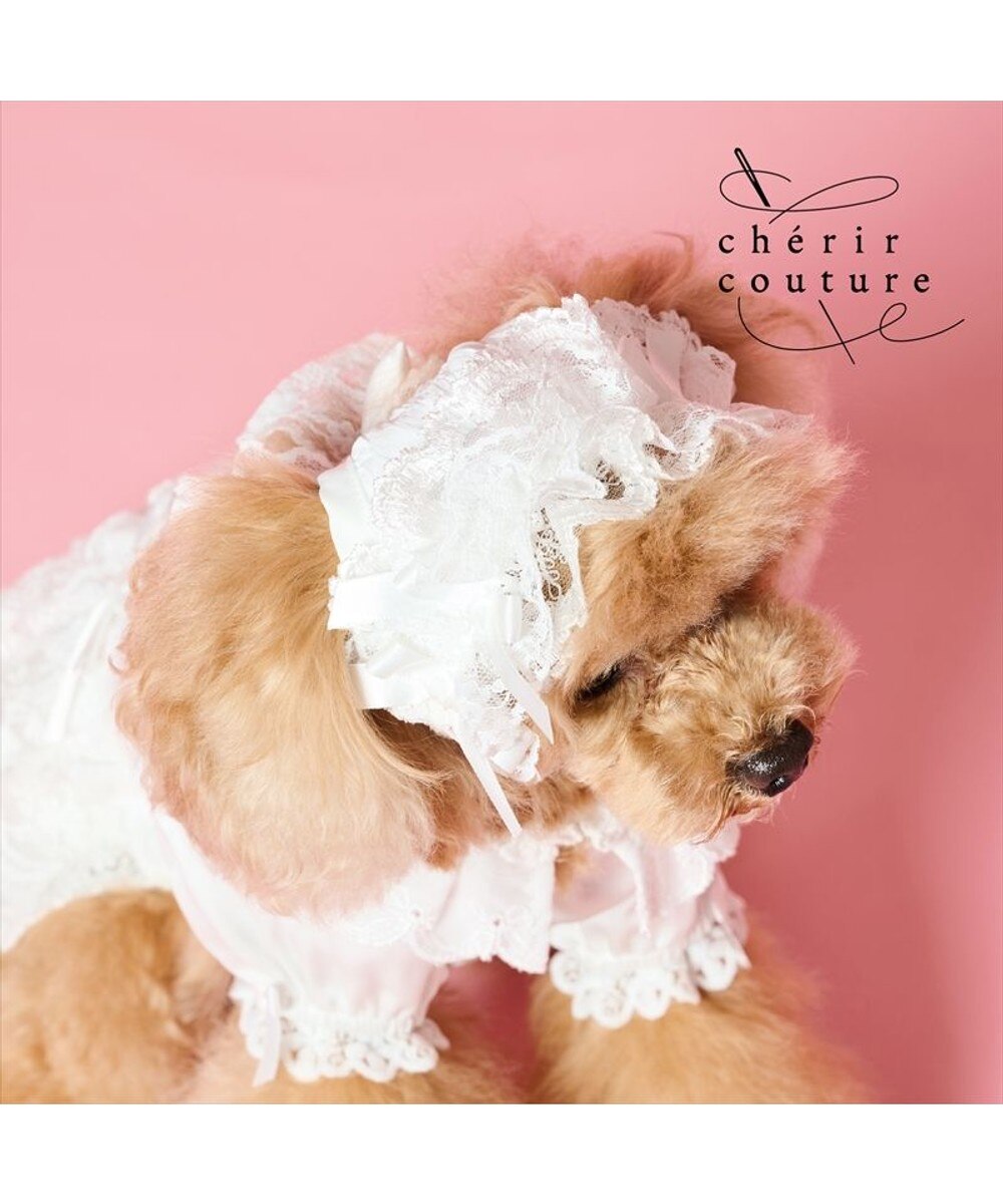 cherircouture レースフリル ワンピース 小型犬 / PET PARADISE