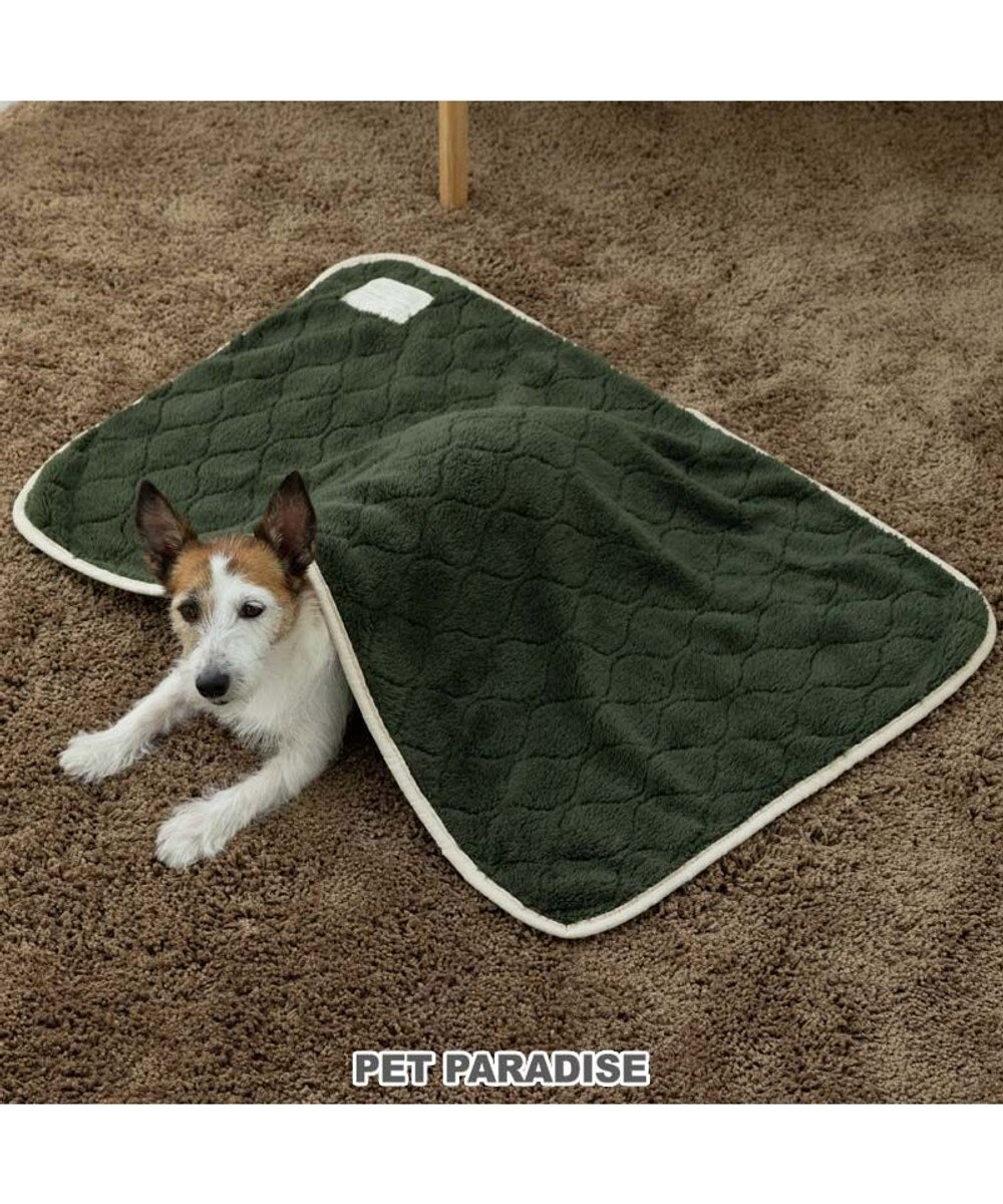 ペットパラダイス 遠赤外線 マット 《オニオン柄》 角型 80×60cm