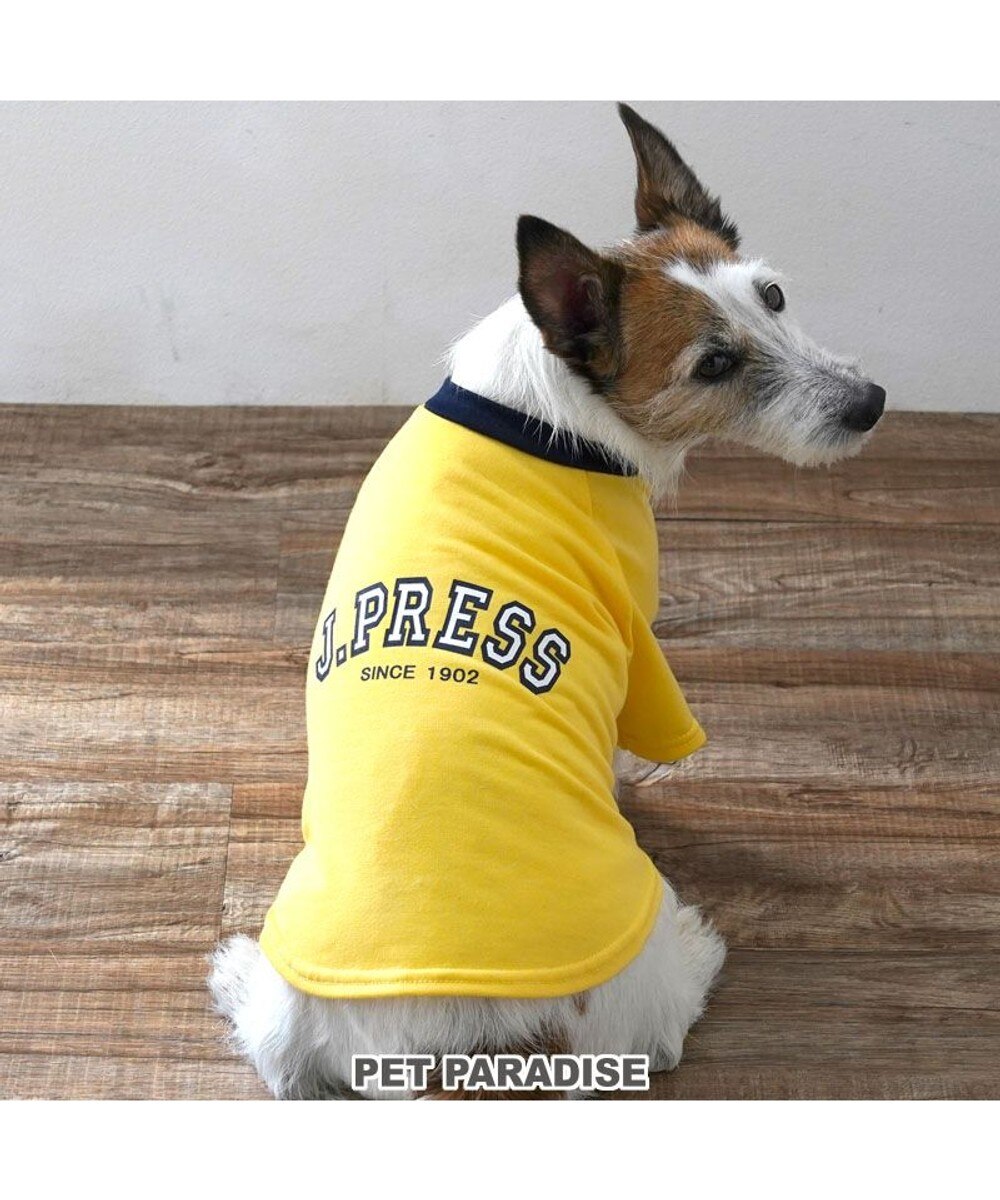 スヌーピー Tシャツ 《ファインプレー柄》 黄色 中型犬 大型犬 / PET