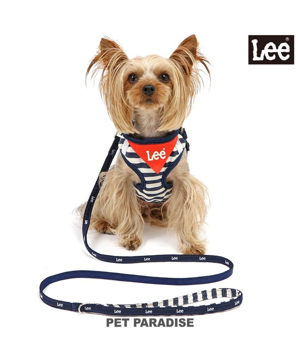 犬バカ店長★ J.PRESS カレッジ Tシャツ 小型犬 / PET PARADISE | 【通販