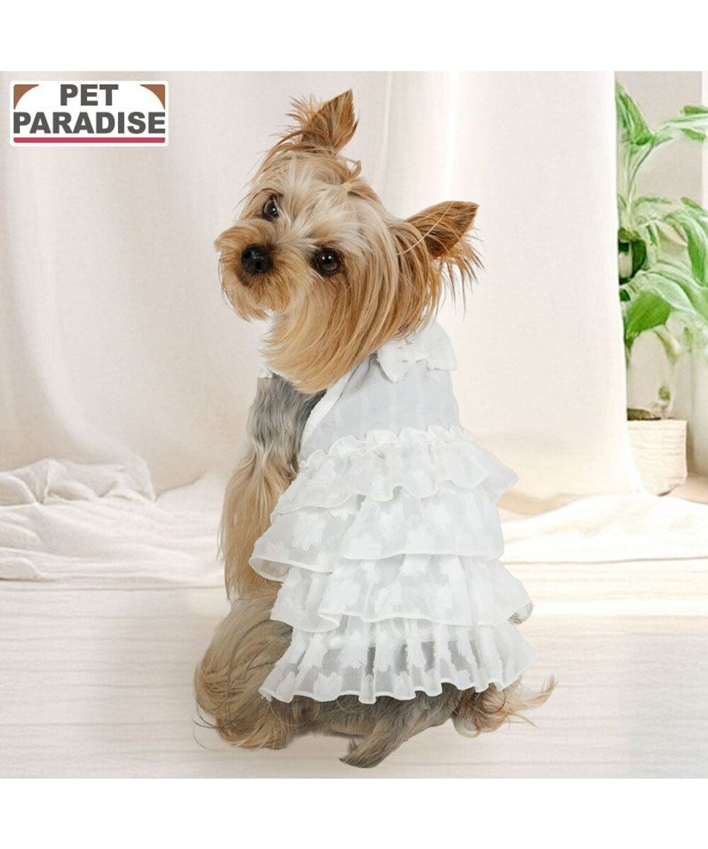 cherircouture メニーローズ ワンピース ピンク 小型犬 / PET PARADISE