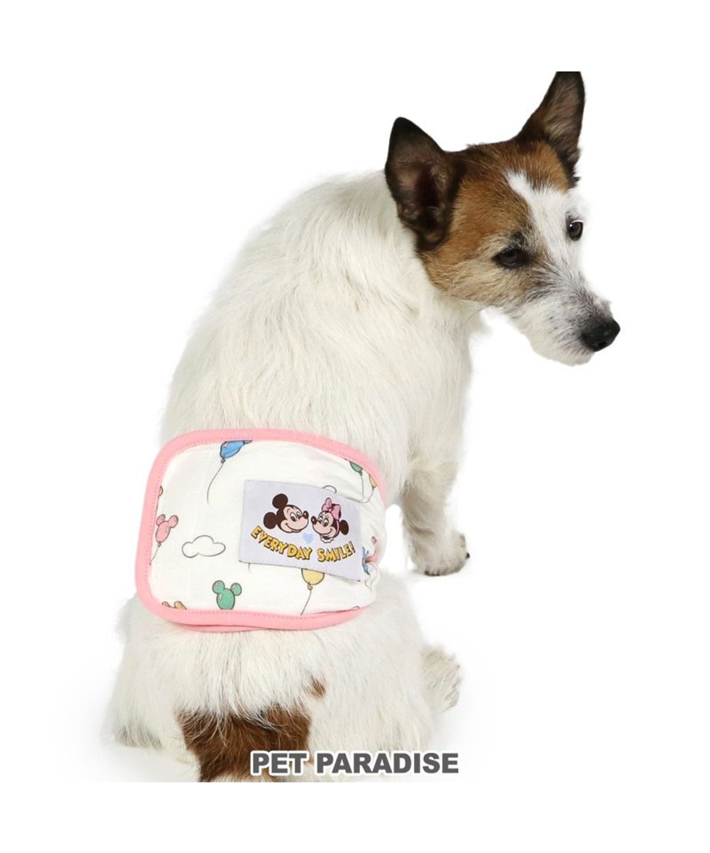 リサとガスパール マナーベルト 総柄 小型犬 / PET PARADISE | 【通販