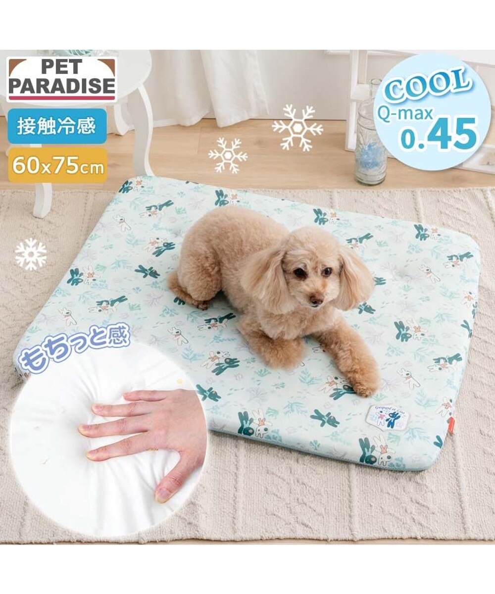 ディズニー プルート もちっと クール ブランケット / PET PARADISE