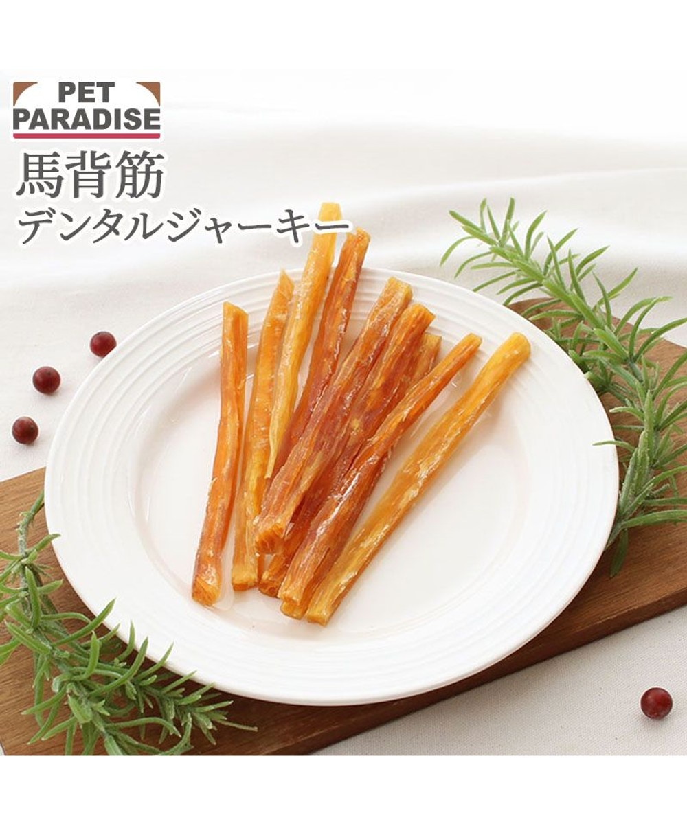 信州 鹿レバージャーキー 40g 国産 / PET PARADISE | 【通販】雑貨と