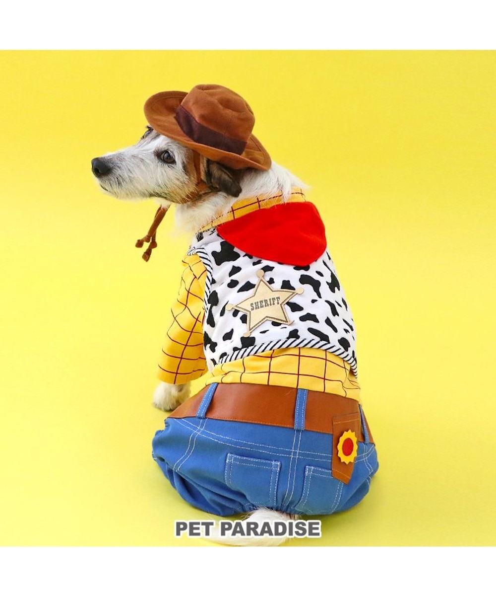 犬服　サリー ‎✩°。　ハンドメイド ディズニー なりきり スタジャン 《サリー》 小型犬 / PET PARADISE