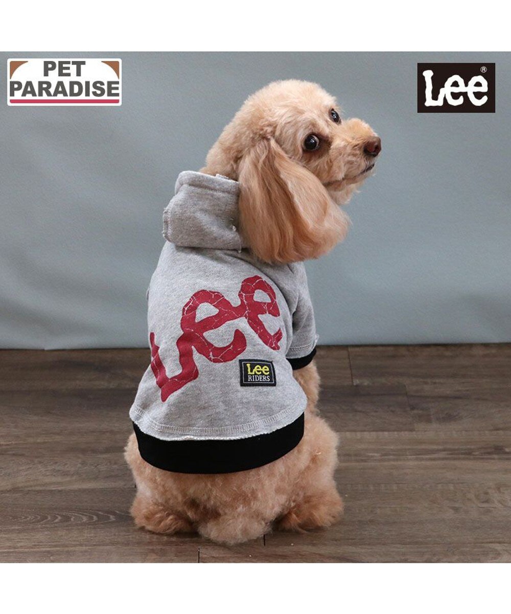 ペットパラダイス 干支帽子 辰 《グリーン》 小型犬 / PET