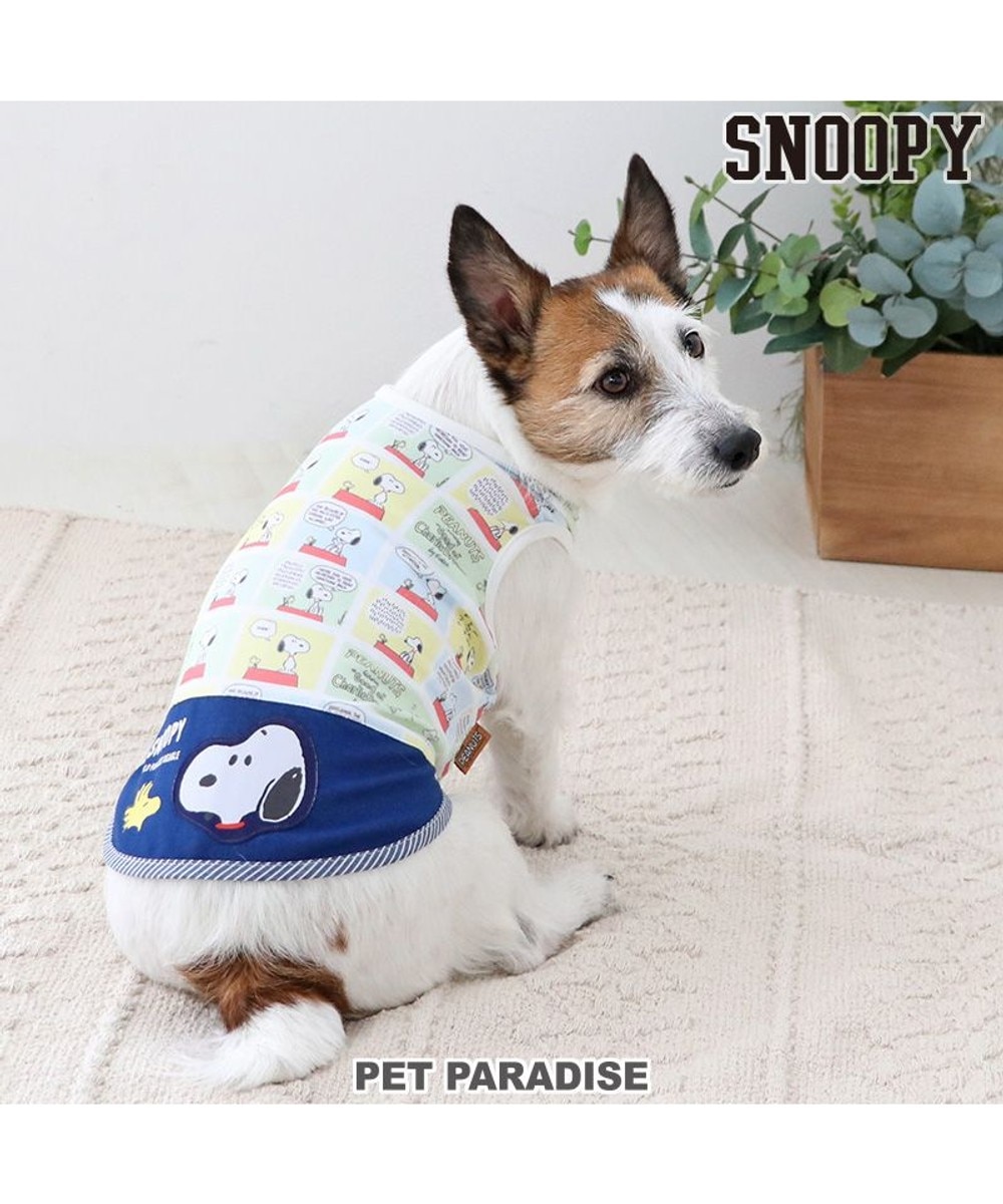 犬服　3点セット　Sサイズ　☆新品未使用☆ 犬 服 おしゃれ オールシーズン かわいい ドッグウェア 犬服 犬