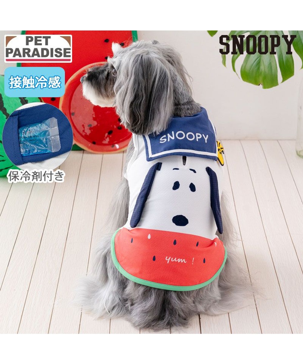 ペティソワン 愛犬用デオドライザースプレー 150mL アフロート / PET