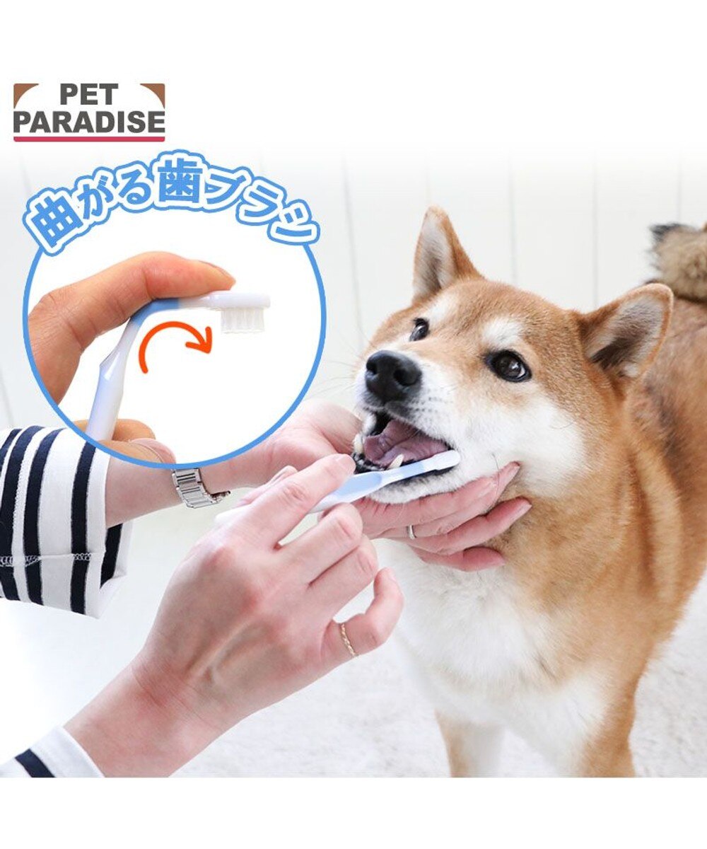 デジタルペットはっぴぃ 犬型 秋田犬「HACHI」のペット型コミュニケーションロボット - 価格.com