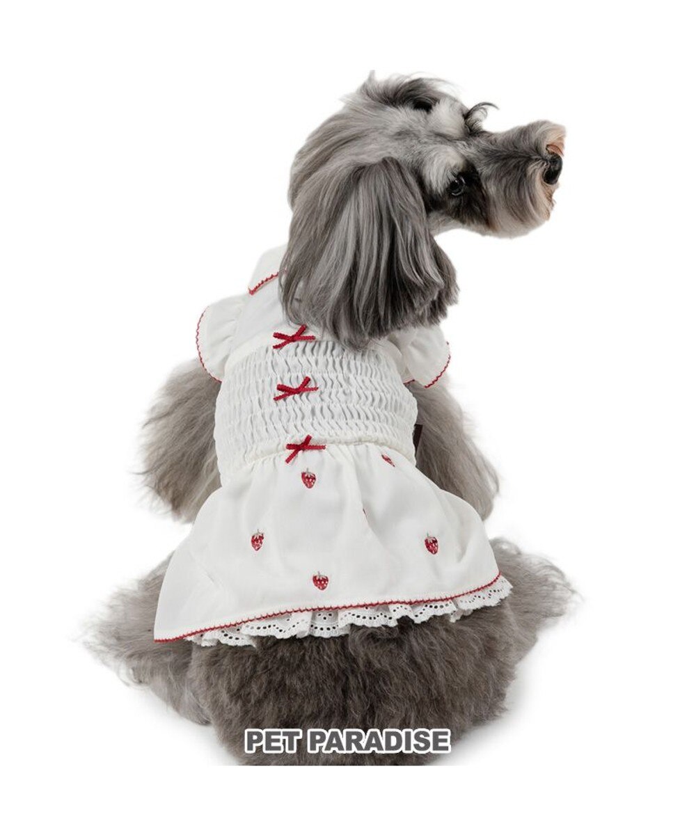 ペットパラダイス くまちゃん ワンピース 小型犬 / PET PARADISE