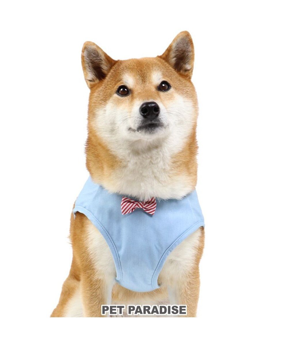 PET PARADISE 犬 ハーネス リサとガスパール ベストハーネス 〔ＳＭ〕 リボン 小型犬 おさんぽ おでかけ お出掛け おしゃれ オシャレ かわいい 青