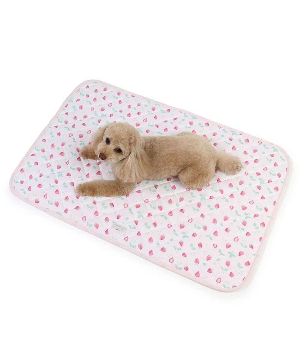 PET PARADISE ペットパラダイス クール マット 《いちご＆お花柄》 90×60㎝ 