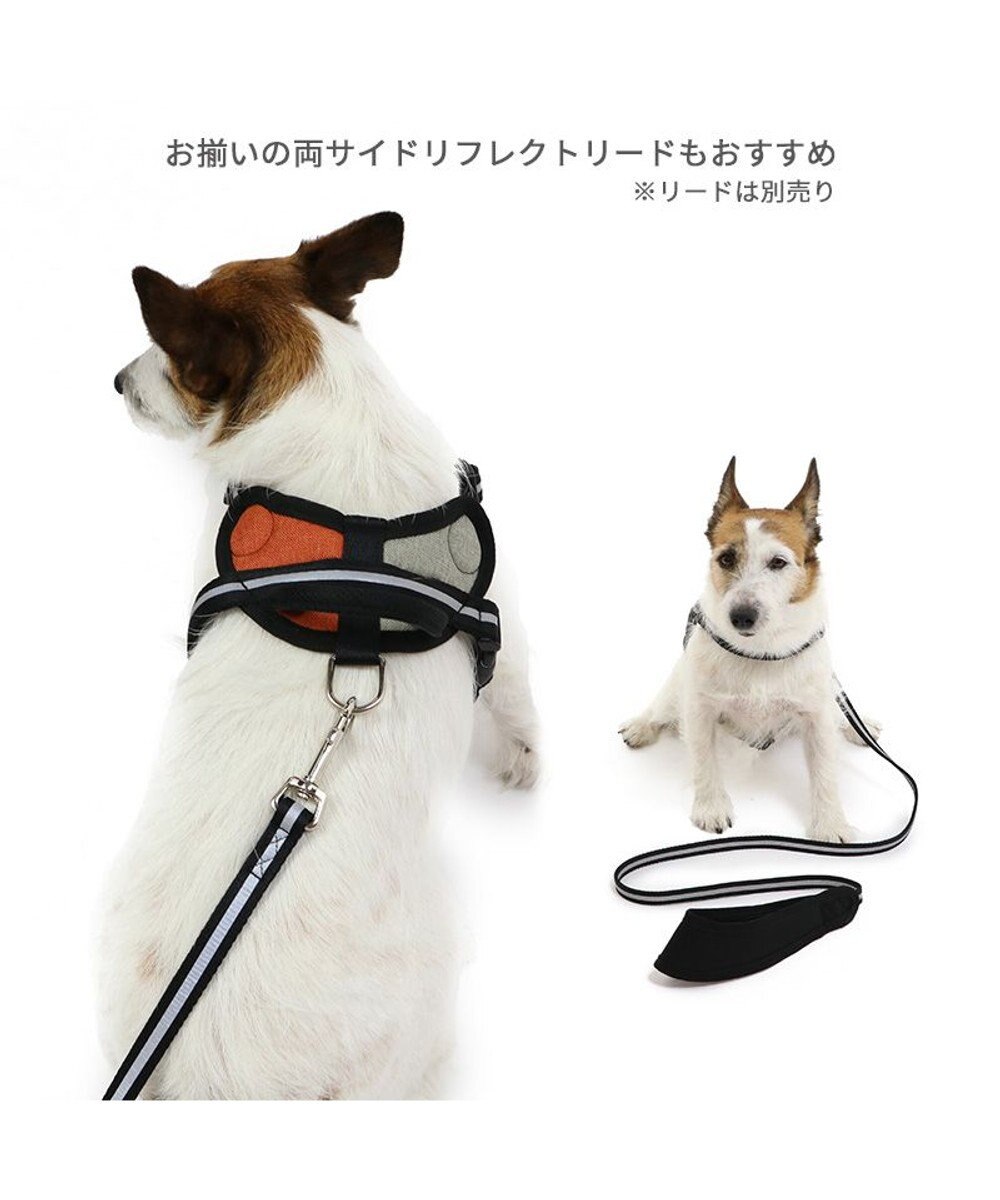 PET PARADISE ヘッドインハーネス 【Ｓ】 オレンジ / ブルー【  小型犬】 