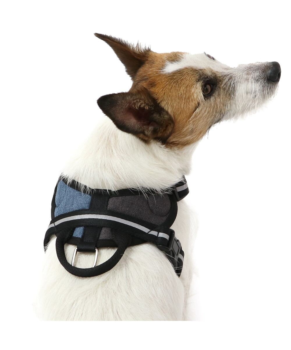 PET PARADISE ヘッドインハーネス 【Ｓ】 オレンジ / ブルー【  小型犬】 